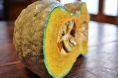 vellutata di zucca