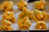 fiori di zucca ripieni alla ligure