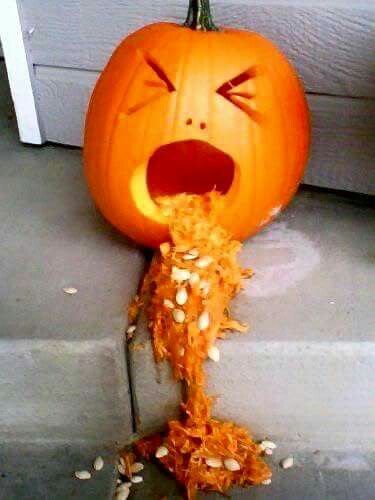 zucca halloween ubriaca
