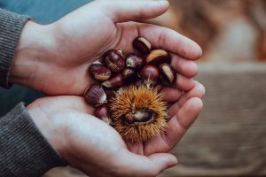 castagne ricette dolci salate